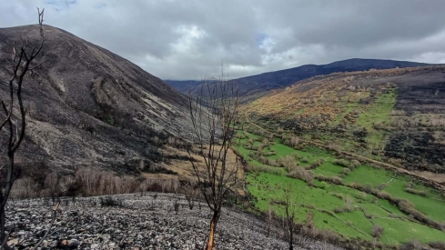El Gobierno invierte casi 10M€ en actuaciones hidrológico-forestales la provincia de León tras los incendios El Gobierno invierte casi 10M€ en actuaciones hidrológico-forestales la provincia de León tras los incendios
