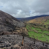 El Gobierno invierte casi 10M€ en actuaciones hidrológico-forestales la provincia de León tras los incendios