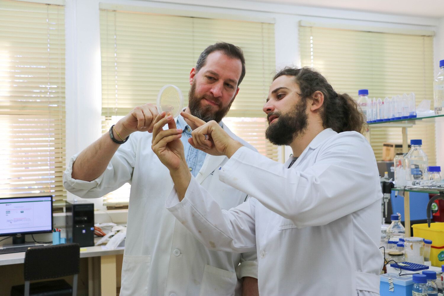 Investigadores de la ULE buscan reforzar la defensa de las plantas frente a bacterias usando residuos de té verde