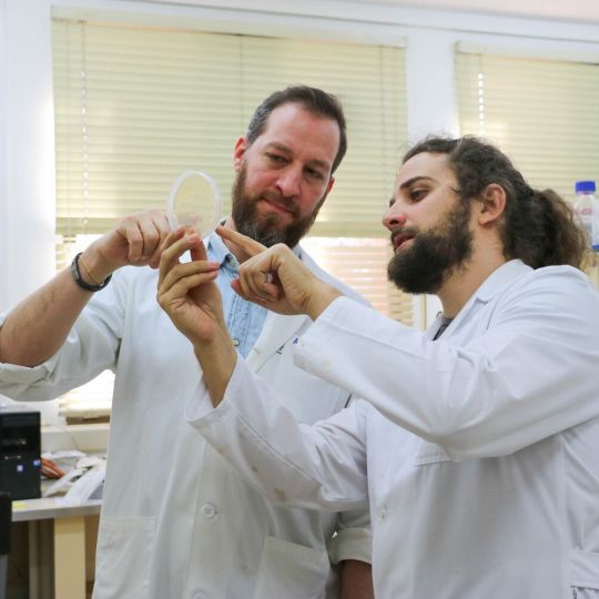 Investigadores de la ULE buscan reforzar la defensa de las plantas frente a bacterias usando residuos de té verde Investigadores de la ULE buscan reforzar la defensa de las plantas frente a bacterias usando residuos de té verde