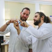 Investigadores de la ULE buscan reforzar la defensa de las plantas frente a bacterias usando residuos de té verde