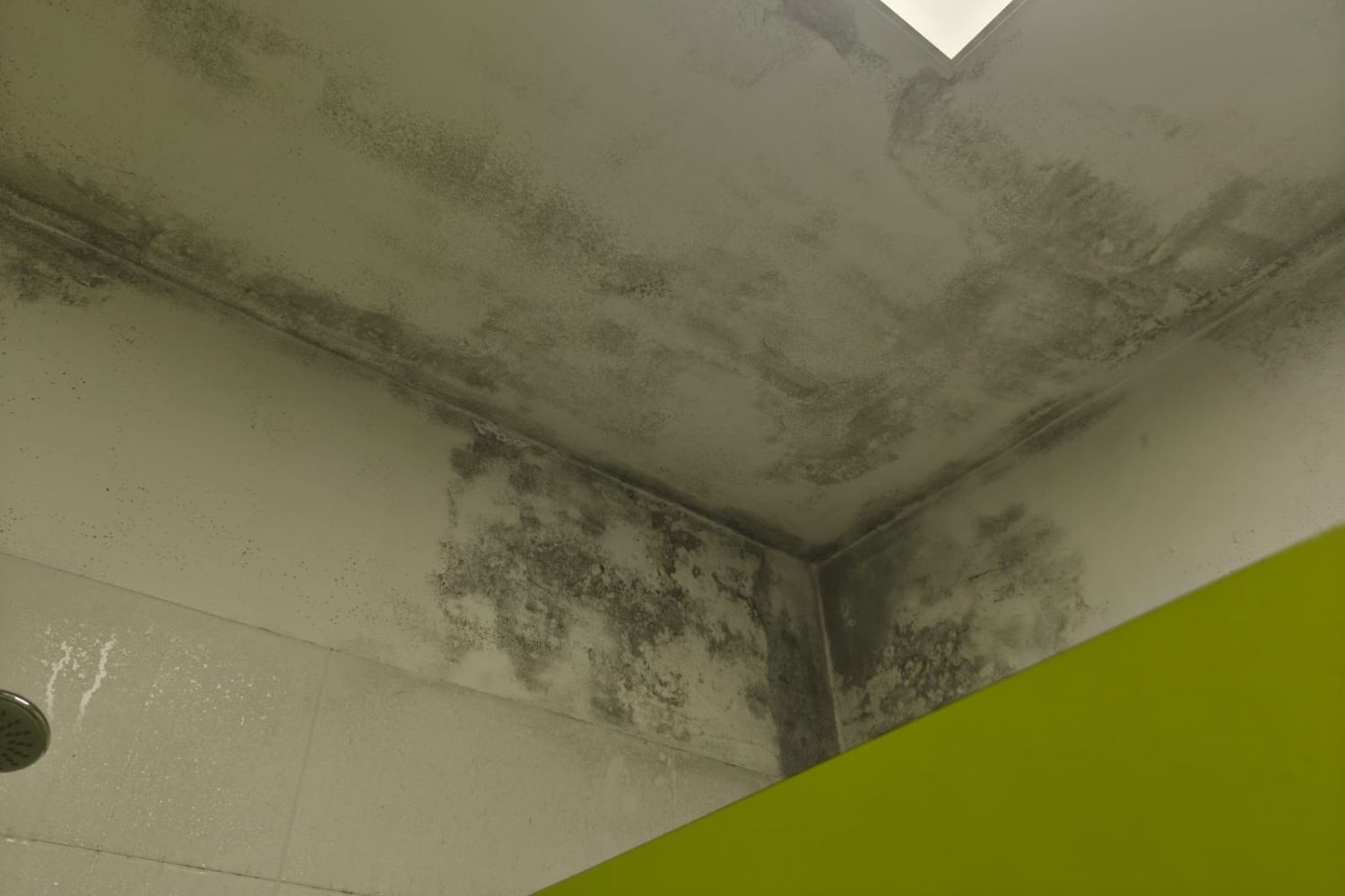 Estado del Hogar del Transeúnte de León