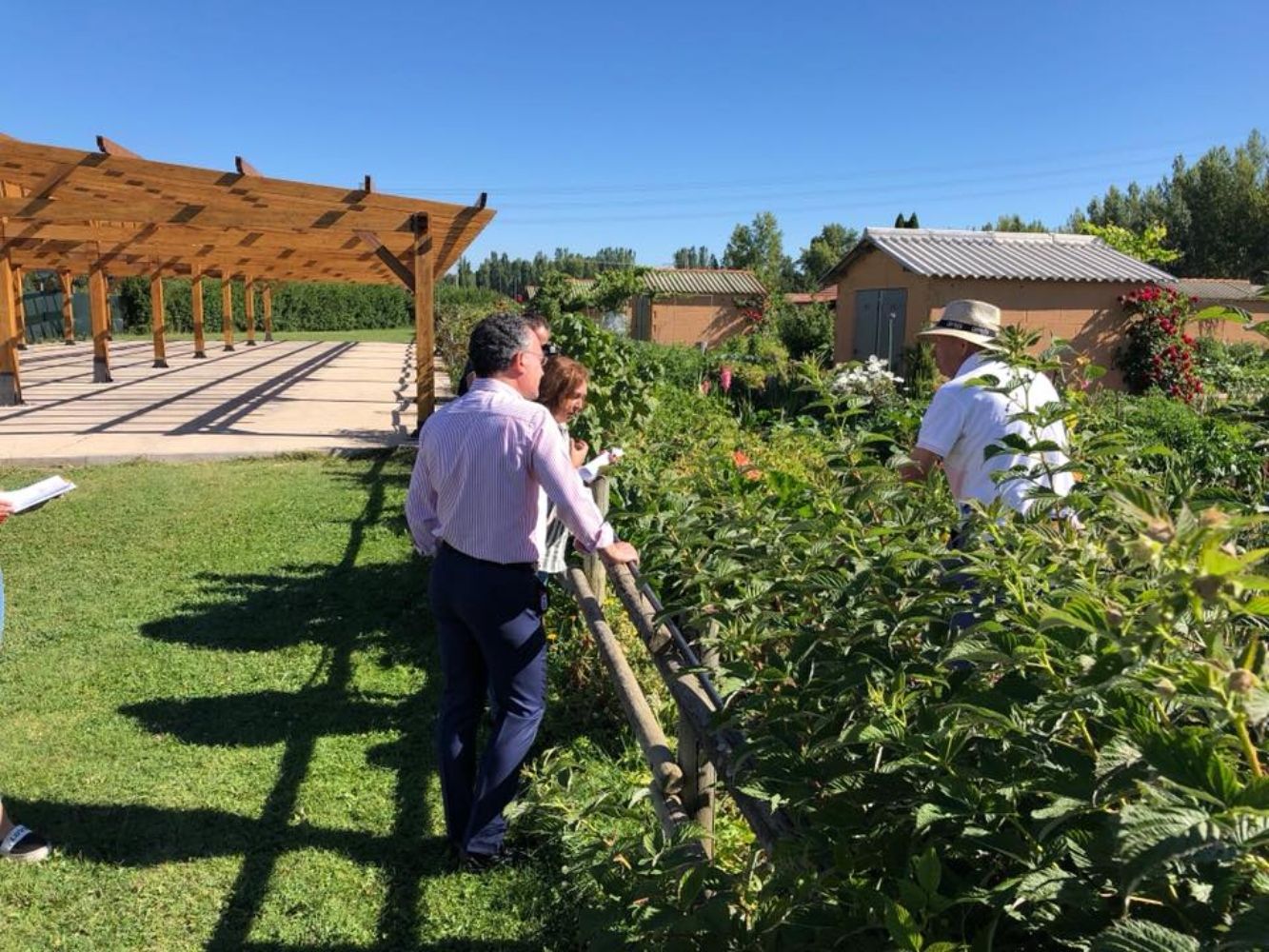 Imagen de archivo de los huertos de la Candamia