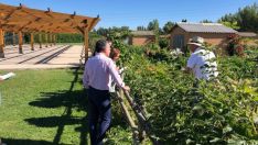 Imagen de archivo de los huertos de la Candamia