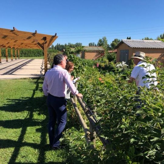 Imagen de archivo de los huertos de la Candamia