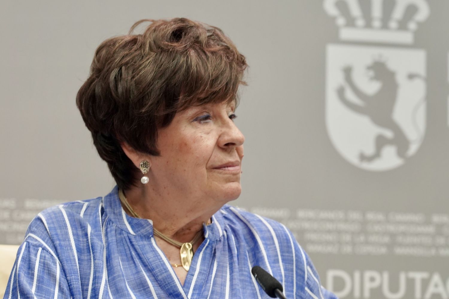 Elena Aguado, durante la presentación del Día del Libro en León | Carlos S. Campillo / ICAL