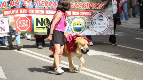 El V Caminu a la Llibertá 'libera' a León de Castilla | José Martín