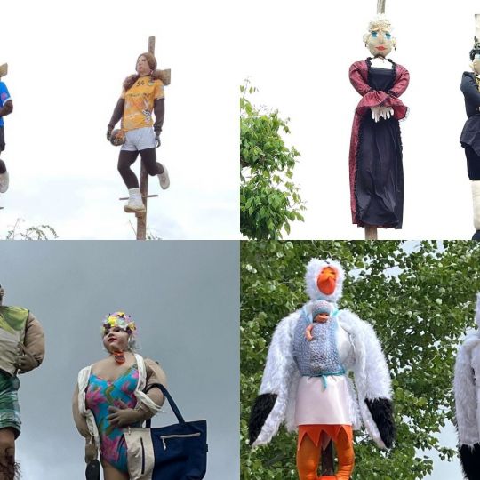 Mayos Sariegos (1)