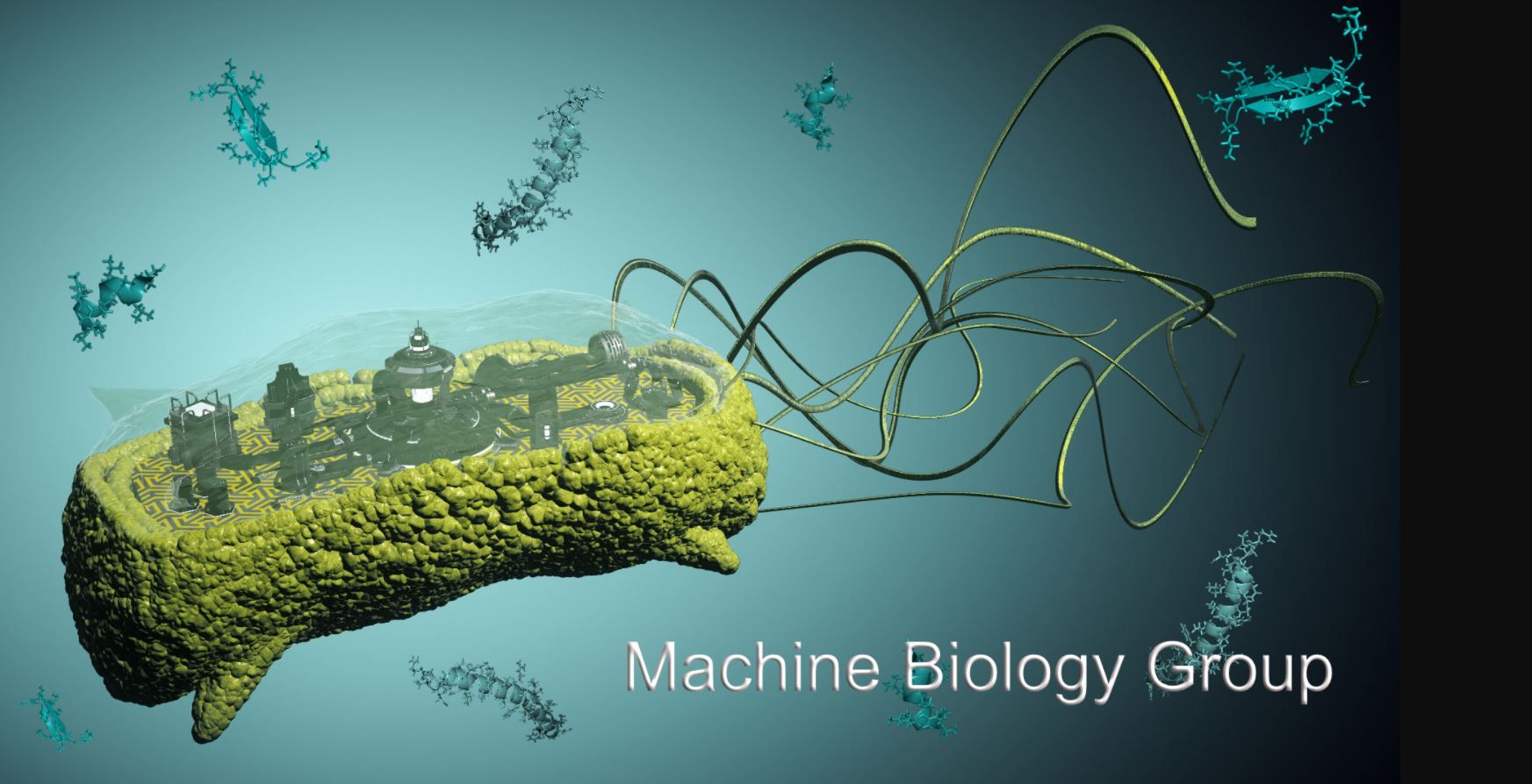 Imagen extraída de la web del Machine Biology Group de la Universidad de Pensilvania