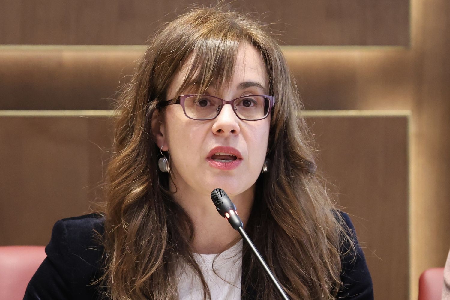 Pregón de la Feria del Libro de León | Carlos S. Campillo / ICAL