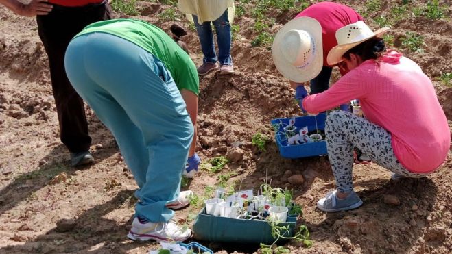 El proyecto social ‘Curaré’ de la Fundación Presta Ayuda busca el respaldo ciudadano para optar al “Corazón Adarsa 2026”
