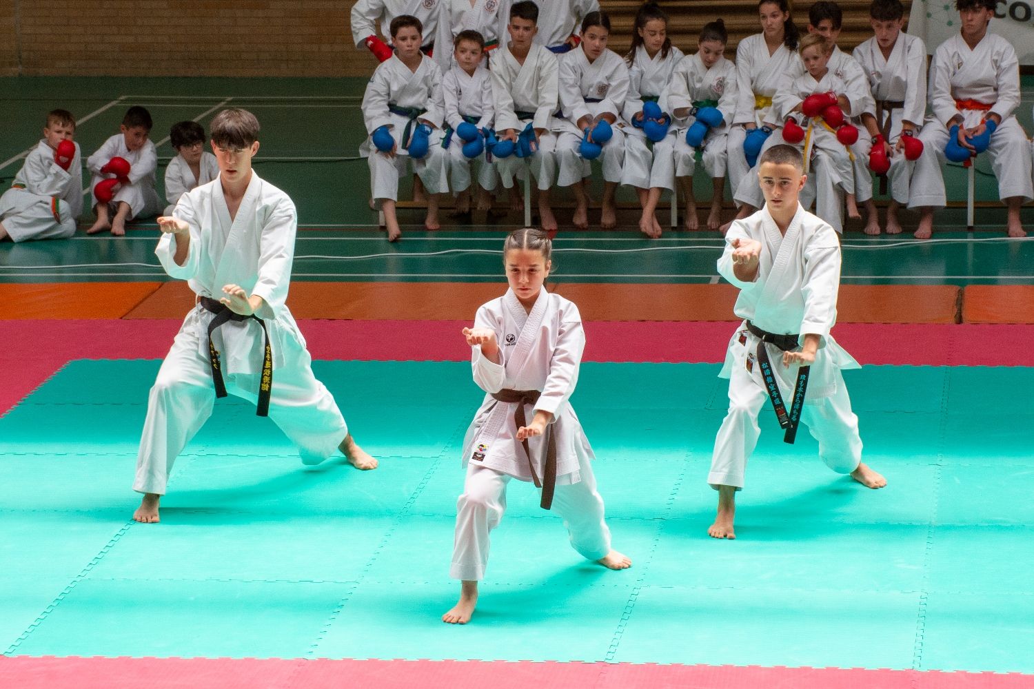 Competicion y Exhibicion Karate en Villaquilambre