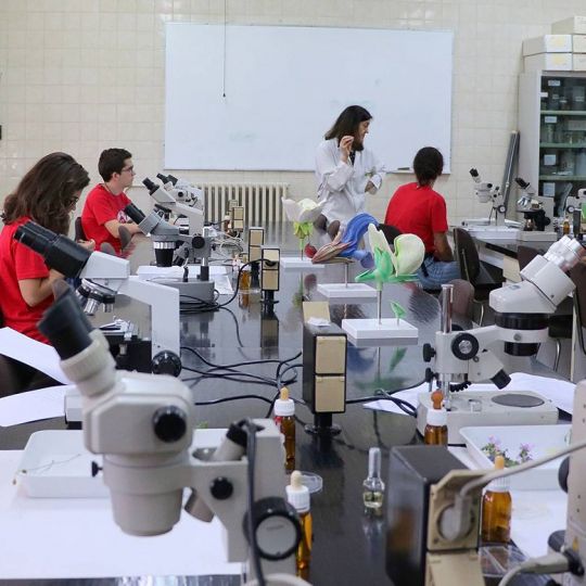 Fotografía de archivo de una edición anterior del Campus Científico de la ULE