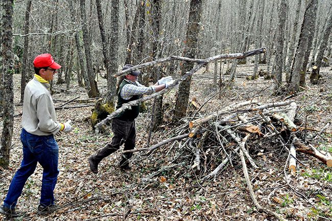 Pronumenta celebra una hacendera para rescatar las ruinas de la ermita de San Félix en Villar de los Barrios (León)