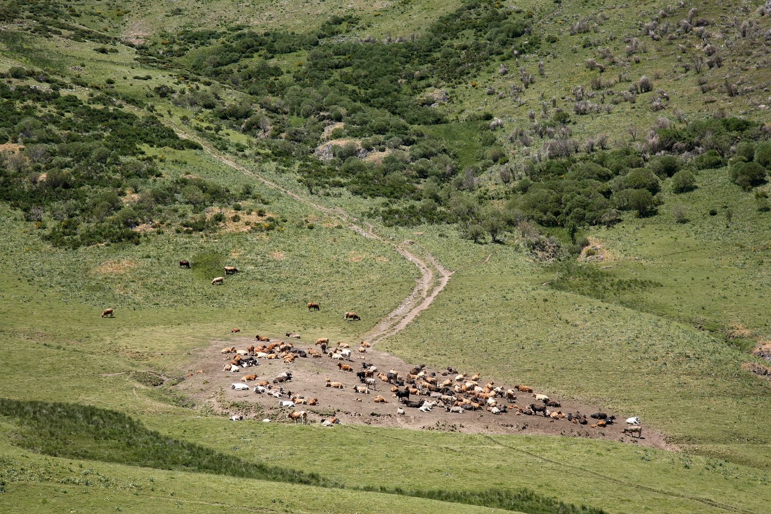 Nace Transnatura: Un proyecto europeo para transformar la naturaleza en desarrollo rural | Eduardo Margareto / ICAL Nace Transnatura: Un proyecto europeo para transformar la naturaleza en desarrollo rural | Eduardo Margareto / ICAL