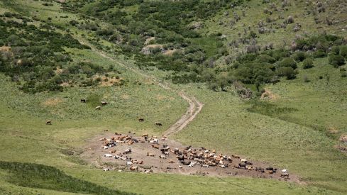 Nace Transnatura: Un proyecto europeo para transformar la naturaleza en desarrollo rural | Eduardo Margareto / ICAL Nace Transnatura: Un proyecto europeo para transformar la naturaleza en desarrollo rural | Eduardo Margareto / ICAL