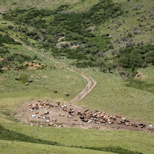 Nace Transnatura: Un proyecto europeo para transformar la naturaleza en desarrollo rural | Eduardo Margareto / ICAL Nace Transnatura: Un proyecto europeo para transformar la naturaleza en desarrollo rural | Eduardo Margareto / ICAL