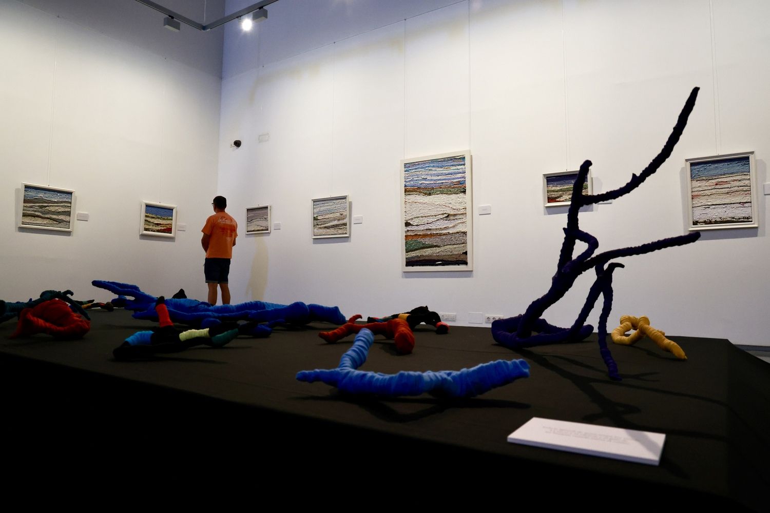Inauguración de la exposición ‘Memoria de la nieve’ | Carlos S. Campillo / ICAL
