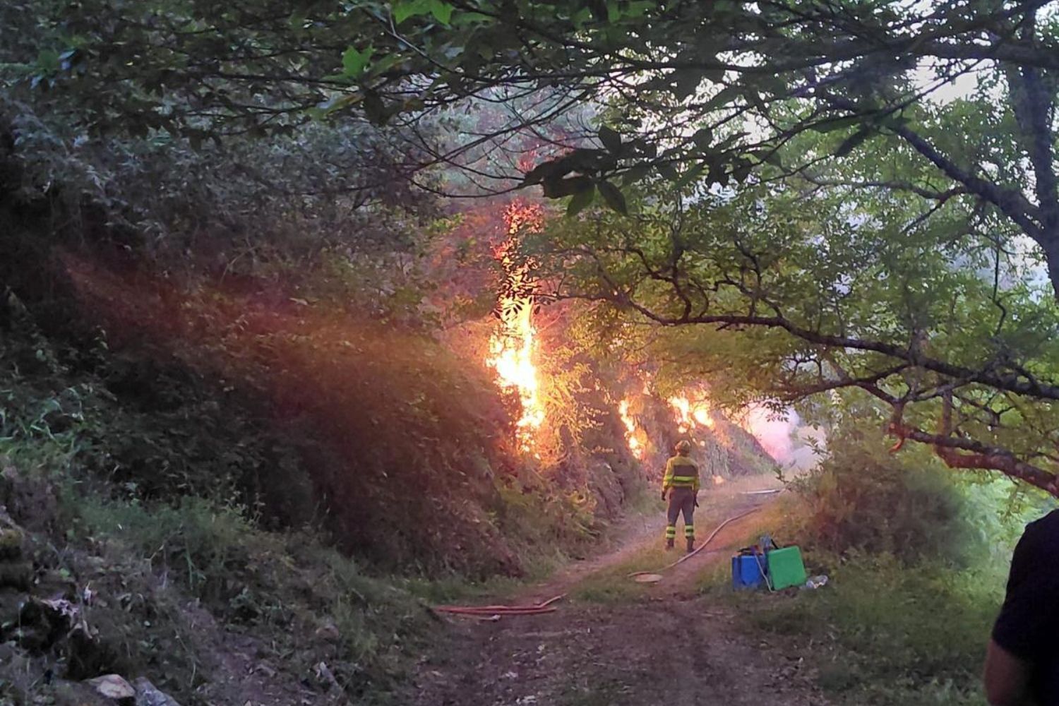 Intervención de los bomberos forestales en el incendio de Pradela | Cedida a InfoBierzo