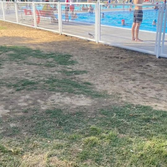 El PP de León denuncia el estado “deplorable e insalubre” de las piscinas de La Palomera pese a la inversión de 1,2M€ El PP de León denuncia el estado “deplorable e insalubre” de las piscinas de La Palomera pese a la inversión de 1,2M€