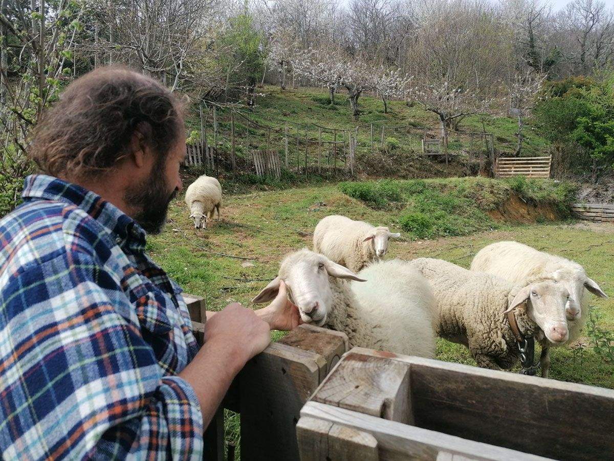 medio rural ponferrada 1200 2