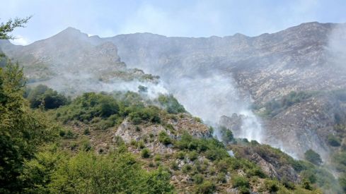 Incendio de Ribota de Sajambre | ATBrif​​​​​​​
