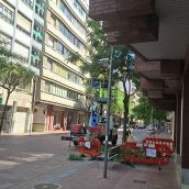 UPL acusa al equipo de gobierno de León de incumplir el acuerdo que limita las podas a octubre y abril