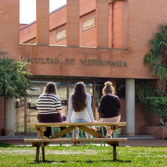 Medicina arrasa en su estreno en la ULE con más de 5.400 solicitudes para 80 plazas Medicina arrasa en su estreno en la ULE con más de 5.400 solicitudes para 80 plazas