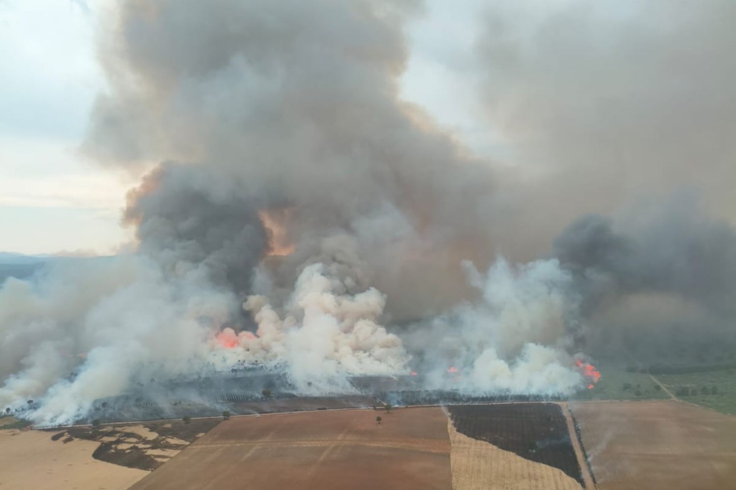 Incendio de Porqueros | ATBrif Incendio de Porqueros | ATBrif