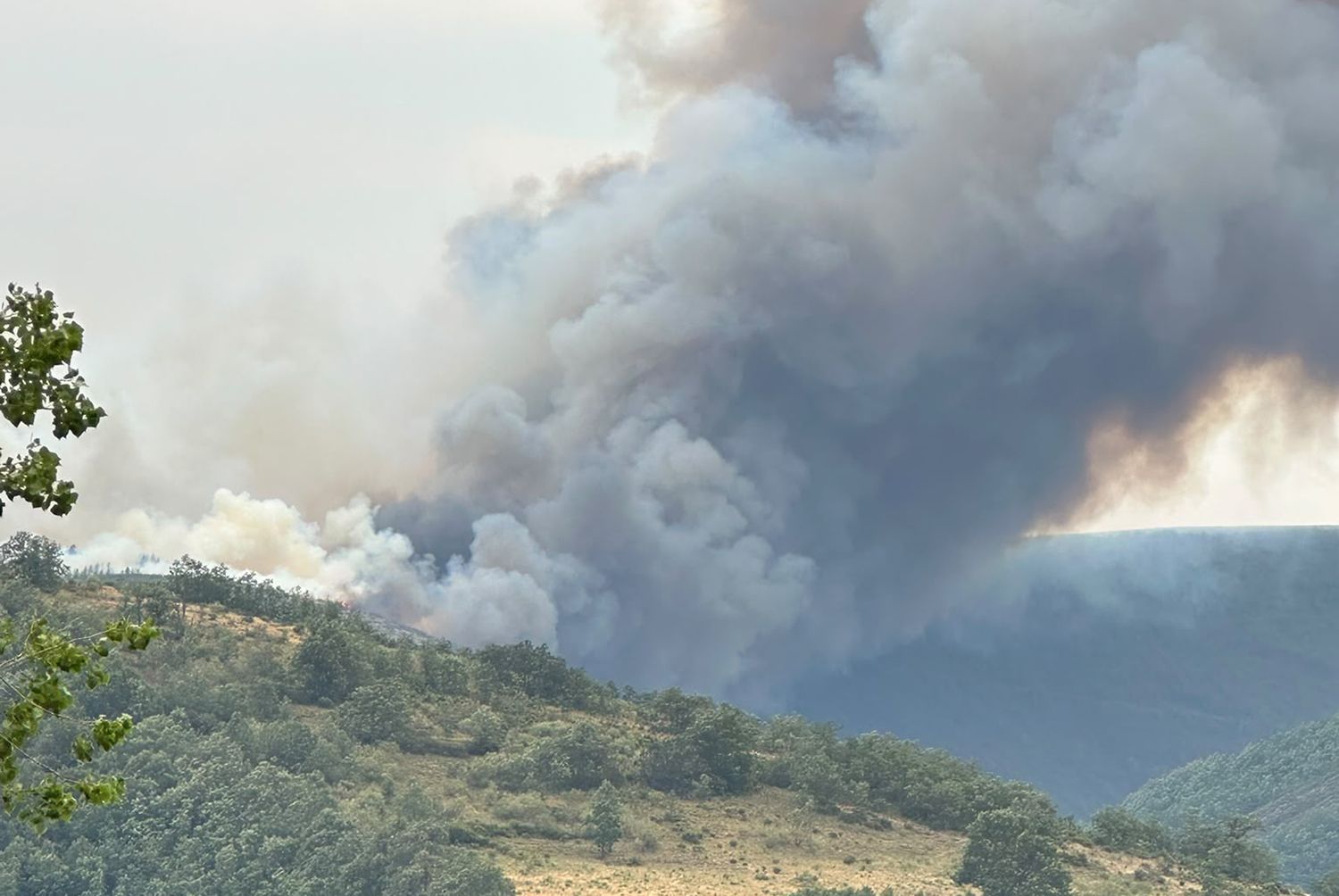 Asciende a nivel 1 el incendio de Espina de Tremor