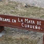 Nuevo banco en La Mata de Curueño (León) | Foto: Página de Facebook 'La Mata de Curueño, León'