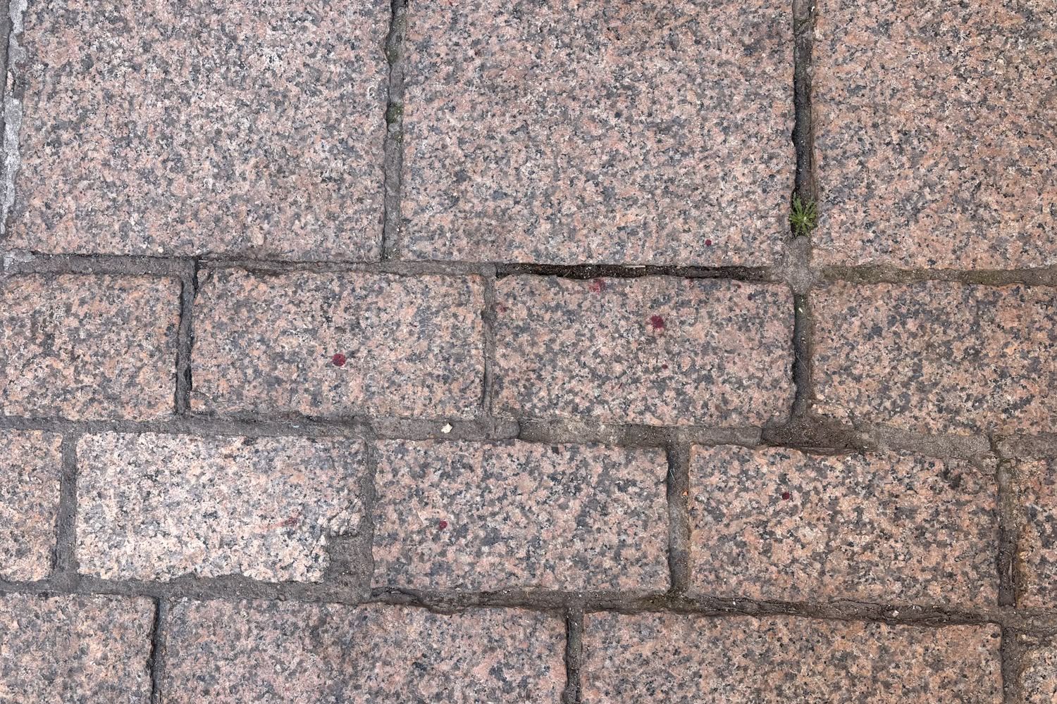 Suceso InfoLeón | Apuñalan a un hombre durante una pelea en la calle Zapaterías de León Suceso InfoLeón | Apuñalan a un hombre durante una pelea en la calle Zapaterías de León