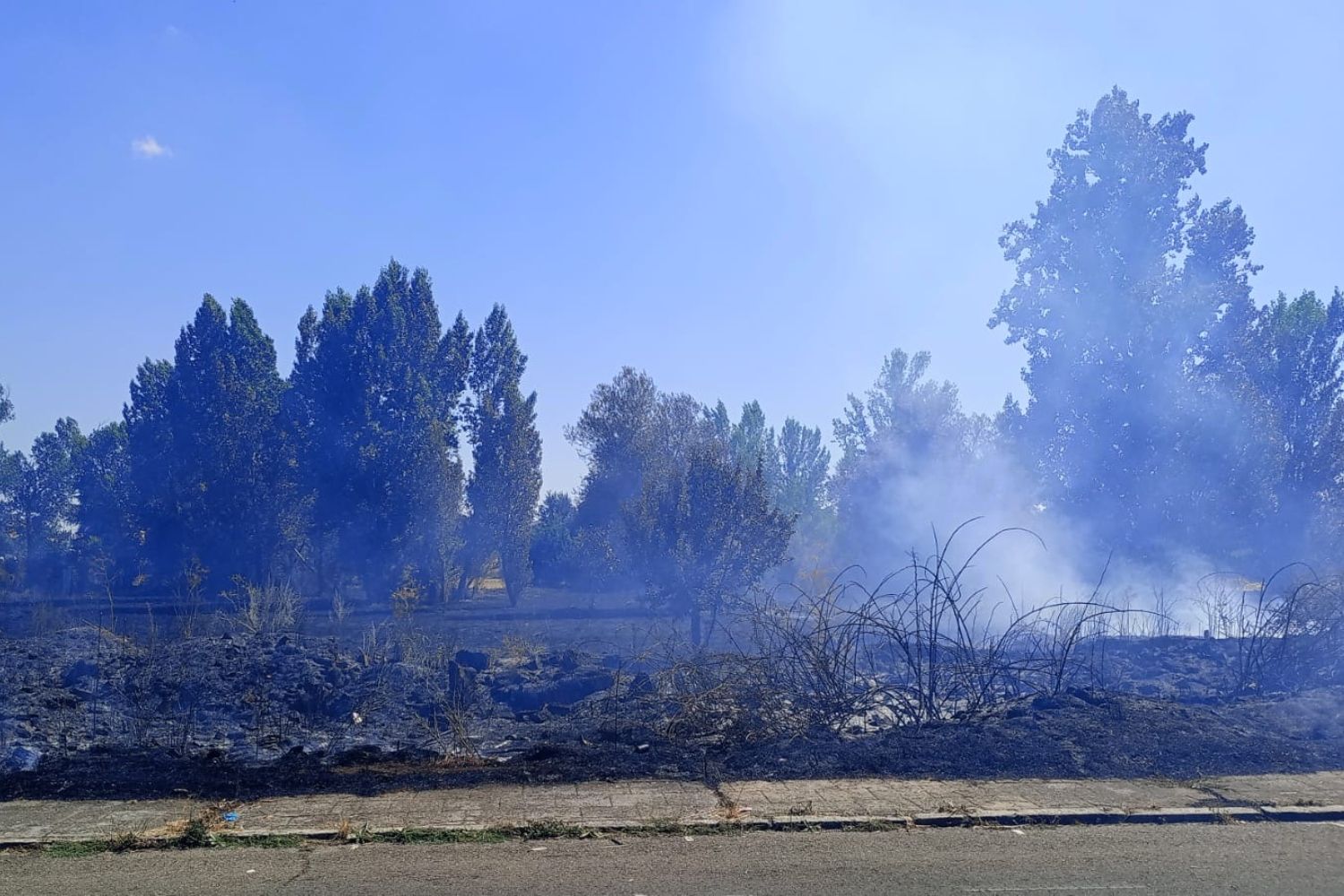 Controlado un incendio de un solar en San Andrés del Rabanedo Controlado un incendio de un solar en San Andrés del Rabanedo