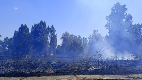 Controlado un incendio de un solar en San Andrés del Rabanedo Controlado un incendio de un solar en San Andrés del Rabanedo