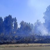 Controlado un incendio de un solar en San Andrés del Rabanedo