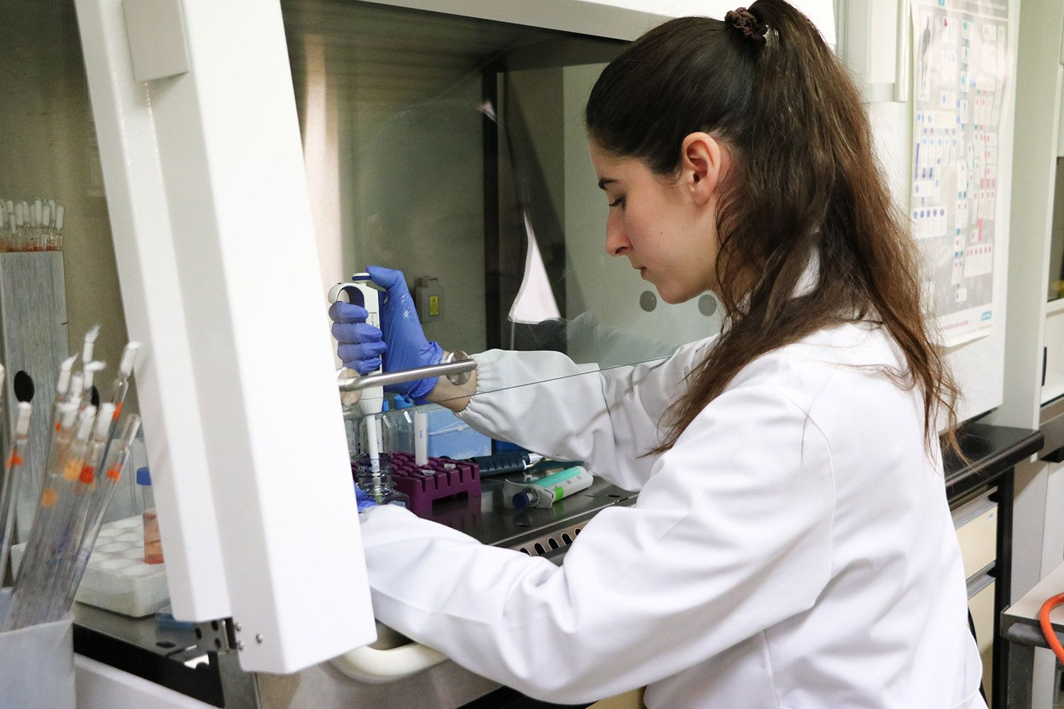 Grupo Investigación Veterinaria Entropía Grupo Investigación Veterinaria Entropía