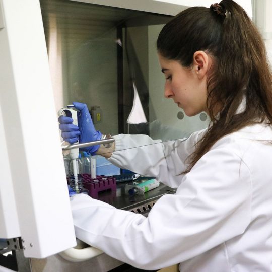 Grupo Investigación Veterinaria Entropía Grupo Investigación Veterinaria Entropía