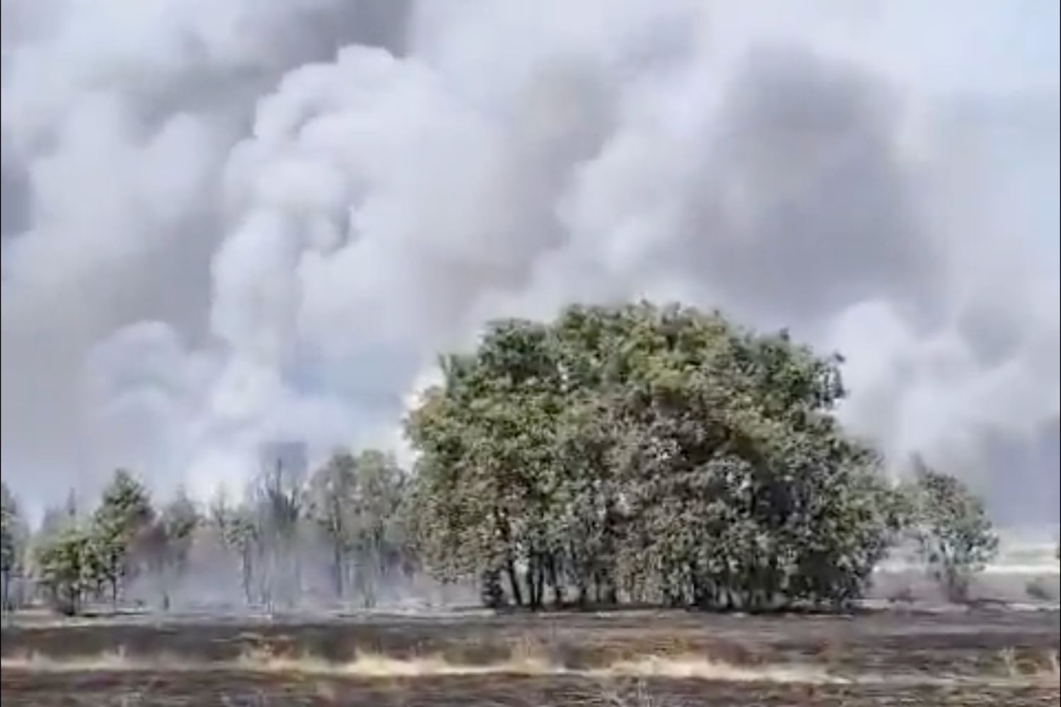 Nuevo incendio de Nivel 1 en León: Medios terrestres y aéreos ya trabajan en San Cipriano del Condado | ATBRF Nuevo incendio de Nivel 1 en León: Medios terrestres y aéreos ya trabajan en San Cipriano del Condado | ATBRF