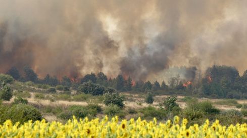 Así trabaja la docena de medios para frenar el incendio de San Cipriano del Condado (León) | Carlos S. Campillo / ICAL Así trabaja la docena de medios para frenar el incendio de San Cipriano del Condado (León) | Carlos S. Campillo / ICAL