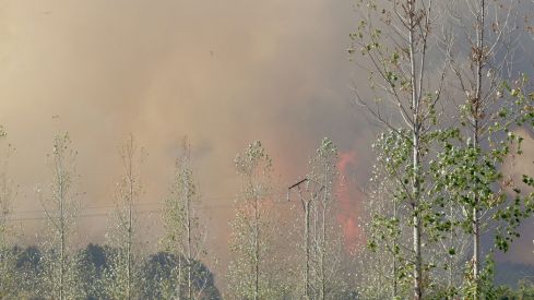 Así trabaja la docena de medios para frenar el incendio de San Cipriano del Condado (León) | Carlos S. Campillo / ICAL Así trabaja la docena de medios para frenar el incendio de San Cipriano del Condado (León) | Carlos S. Campillo / ICAL