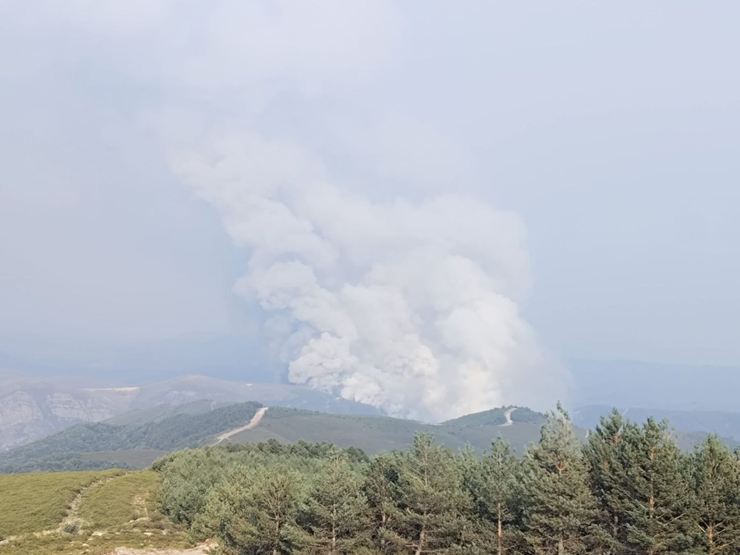 Incendio en Veguellina (Villafranca del Bierzo)