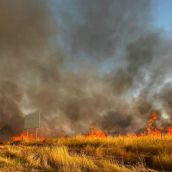 Un incendio con tres focos hace saltar las alarmas en León por la intensa humareda junto al Hospital | Policía Local de León