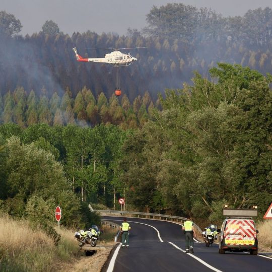 Ocho municipios de la provincia de León recibirán 348.000€ para impulsar la recuperación tras los incendios| Carlos S. Campillo / ICAL