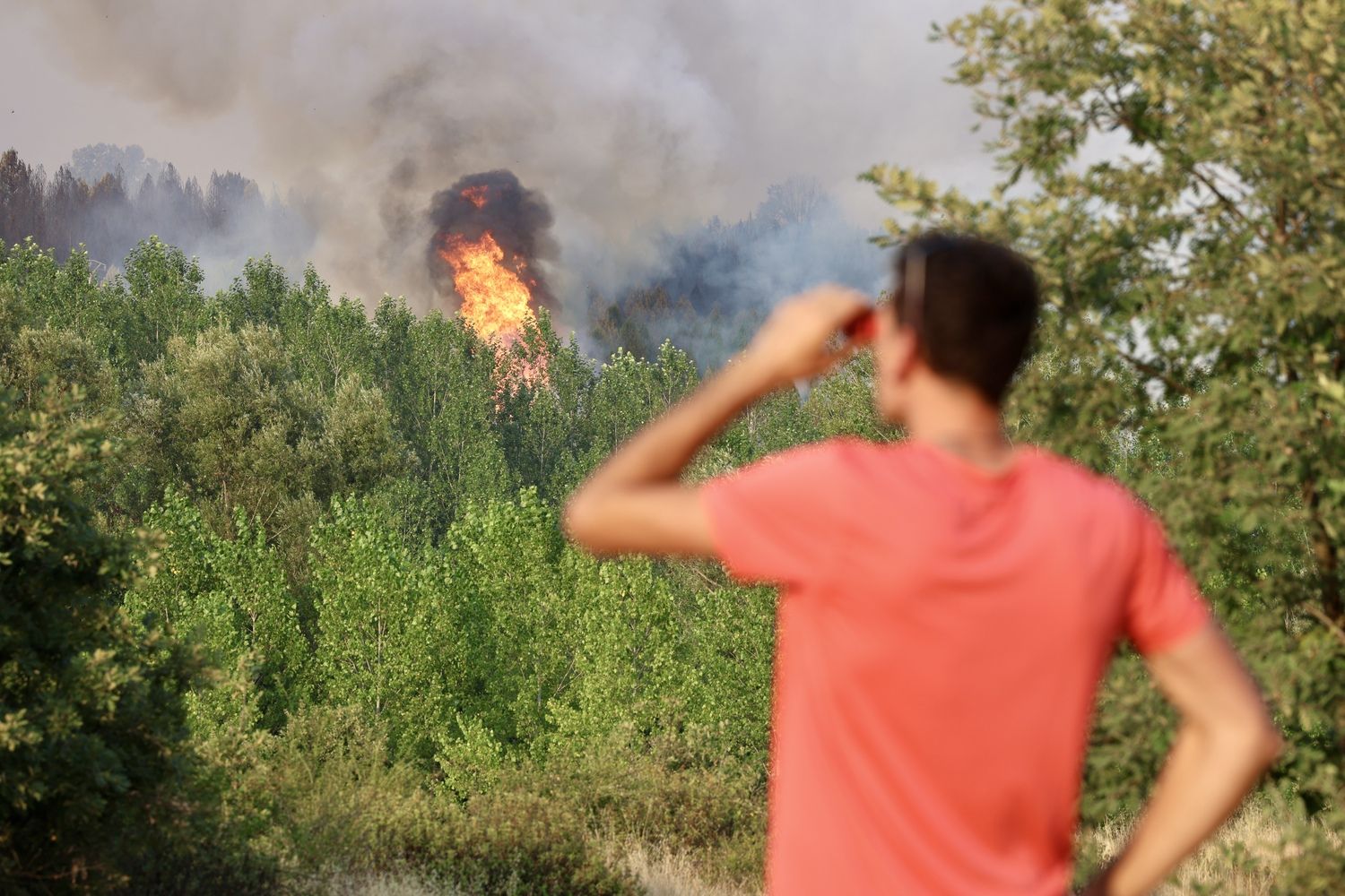 Incendio de San Cipriano del Condado (León) | Carlos S. Campillo / ICAL