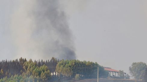Incendio de San Cipriano del Condado este miércoles | Carlos S. Campillo / ICAL Incendio de San Cipriano del Condado este miércoles | Carlos S. Campillo / ICAL