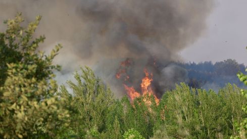 Así trabaja la docena de medios para frenar el incendio de San Cipriano del Condado (León) | Carlos S. Campillo / ICAL Así trabaja la docena de medios para frenar el incendio de San Cipriano del Condado (León) | Carlos S. Campillo / ICAL