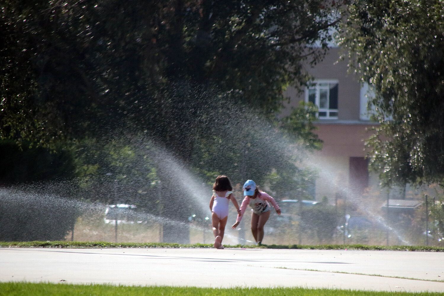 Un grupo de niños se refresca en los aspersores de un parque en León | Peio García / ICAL Un grupo de niños se refresca en los aspersores de un parque en León | Peio García / ICAL