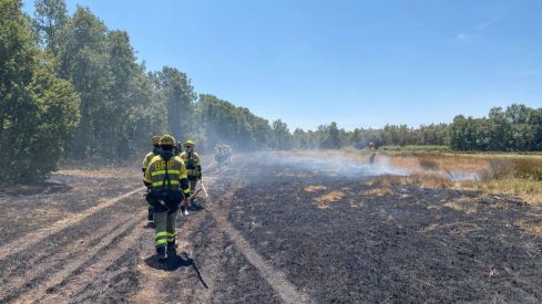 Trabajos de la BRIF Ruente en el incendio de San Cipriano del Condado este jueves | BRIF Ruente