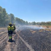 Trabajos de la BRIF Ruente en el incendio de San Cipriano del Condado este jueves | BRIF Ruente