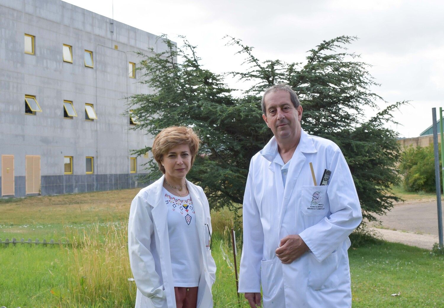 Un estudio de la ULE demuestra que las hojas del olivo pueden revelar dónde se adapta mejor cada variedad Un estudio de la ULE demuestra que las hojas del olivo pueden revelar dónde se adapta mejor cada variedad